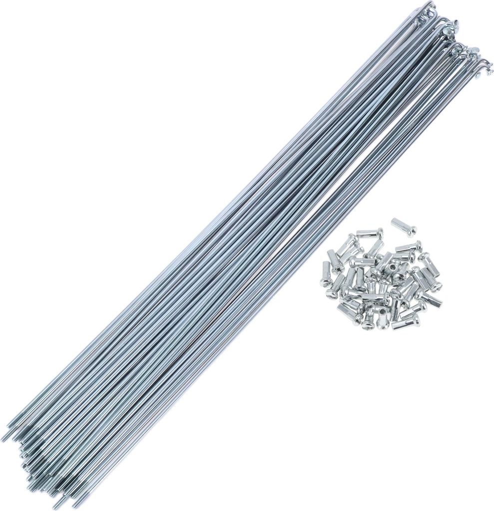36 Set 13G Fahrradspeichen 301mm Fahrradrad Speichen Verzinkter Kohlenstoffstahl Silberton
