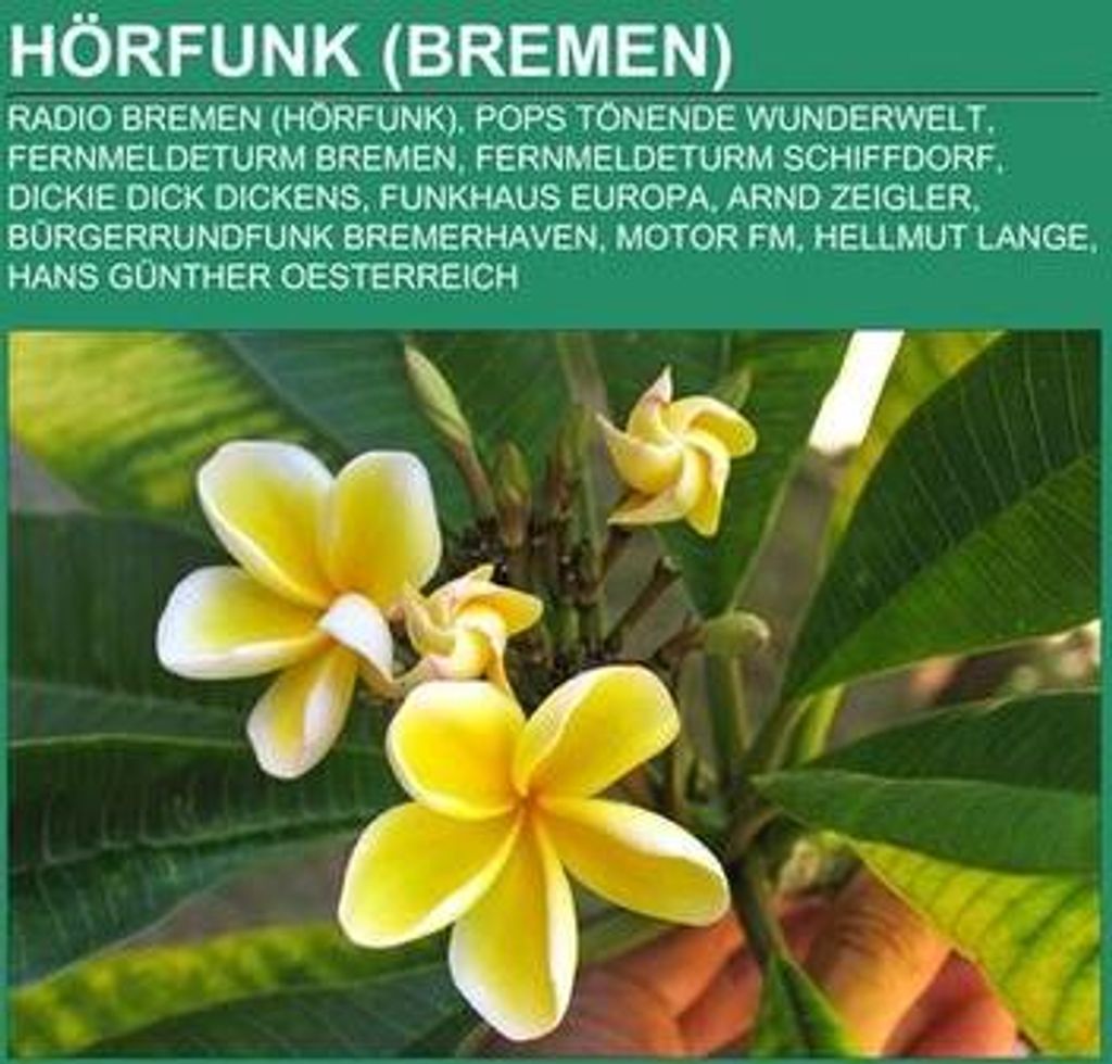 Hörfunk (Bremen)