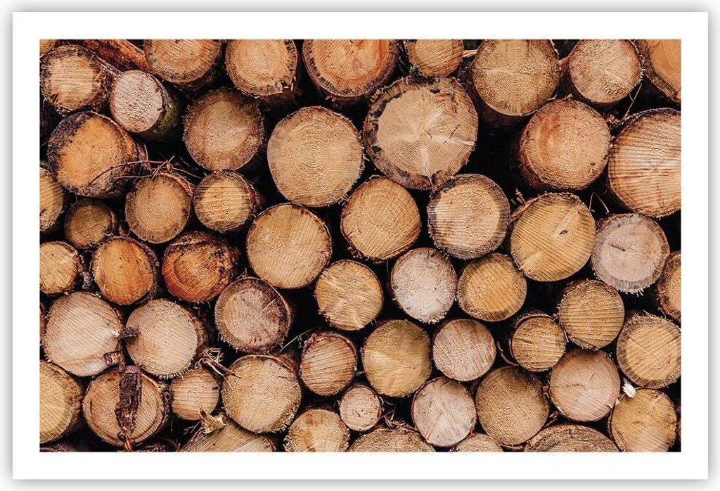 Poster - Poster ohne Rahmen - Holz Baumstämme Stämme - 91,5x61 cm - Wand Bild - Wanddeko - Wandbilder - Kunstposter - Wandposter - Bilder - Kunst...