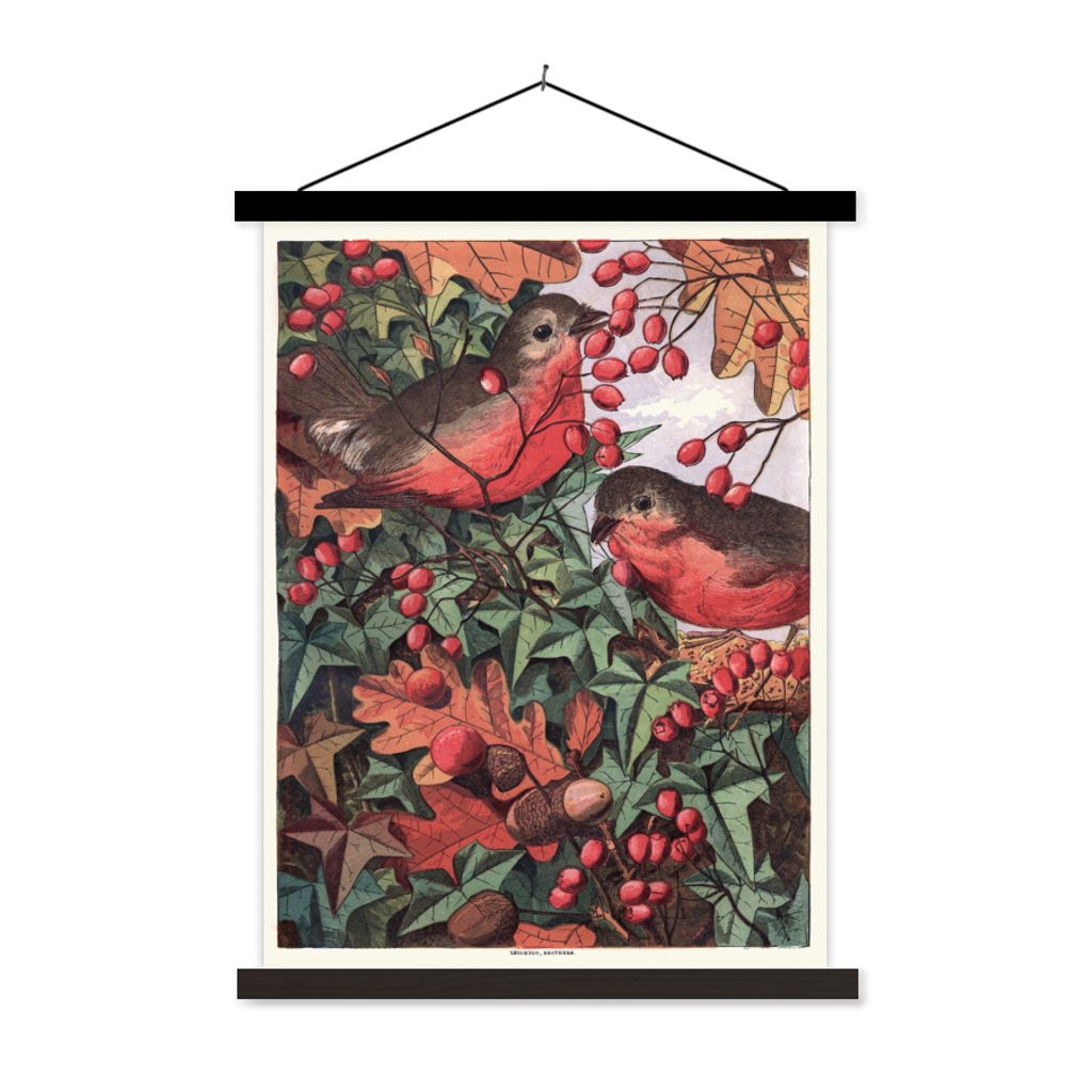 MuchoWow Textilposter Antiker Vogel Druck Rotkehlchen 40x53 cm mit schwarzem Rahmen - Abbildung