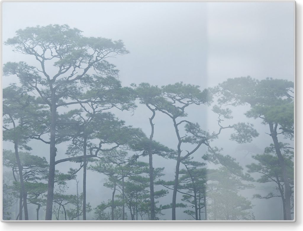 DEQORI Schneidebrett Glas 40x30 cm 'Grüne Stille' Schneideplatte Servierplatte groß