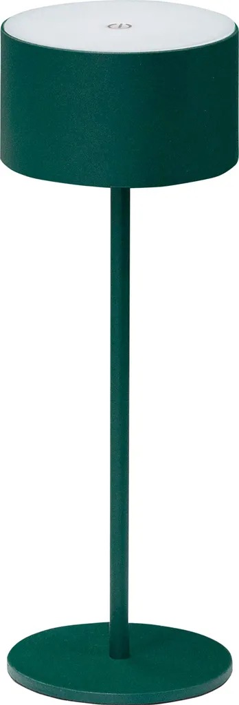 Veilleuse LED Rechargeable Flora Idéale pour Lecture et Table Basse
