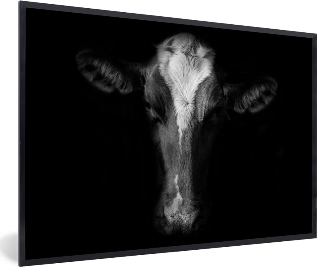 MuchoWow MuchoWow Gerahmtes Poster Kuh Porträt auf schwarzem Hintergrund in schwarz und weiß 90x60 cm - Poster mit zchwarzem Bilderrahmen - F...