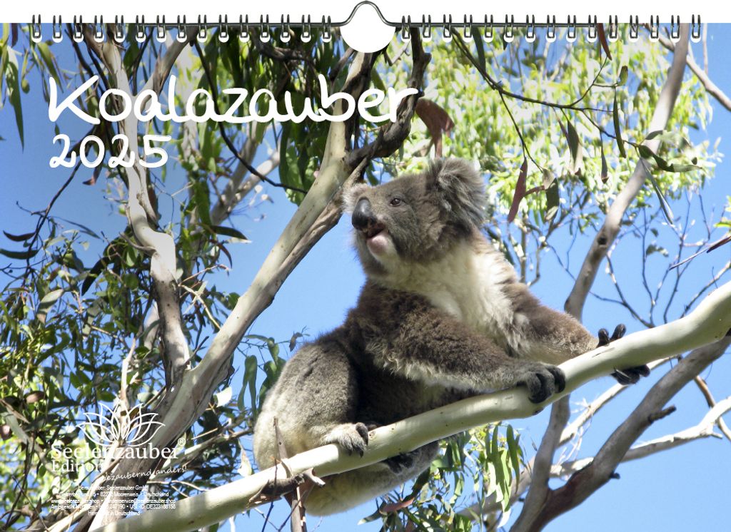 Koalazauber DIN A4 Kalender für 2025 Koalabären, Koala - Seelenzauber
