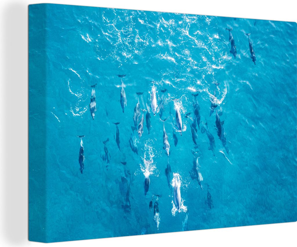 OneMillionCanvasses - Leinwandbilder - 150x100 cm, Delfin - Wasser - Meer, Wandbilder Kunstdruck Wanddekoration