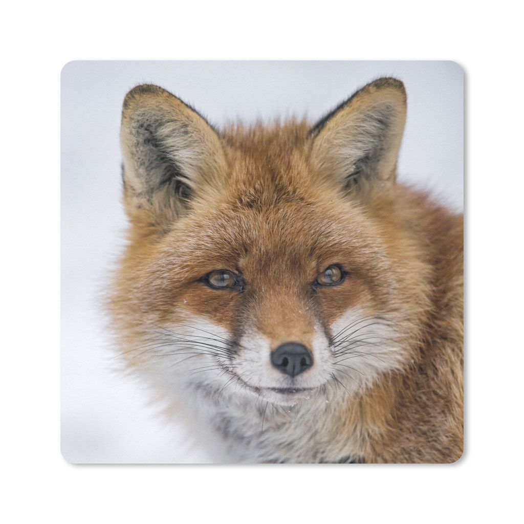 MuchoWow Mauspad Mousepad Fuchs - Porträt - Schnee 20x20 cm - Mousepads - Maus Mat - Pad - Mausunterlage - Desk Mat - Bureauartikeln
