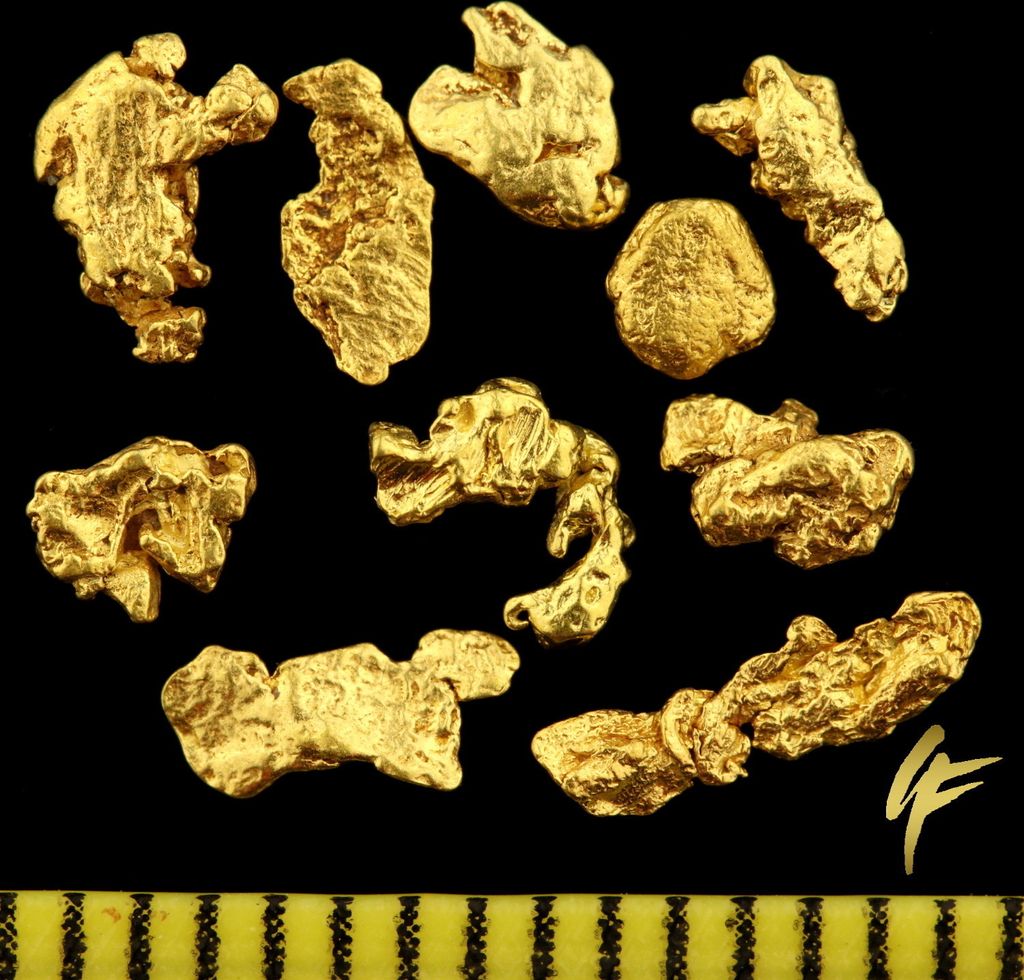 A collection of gold nuggets on a black background with a ruler at the bottom.