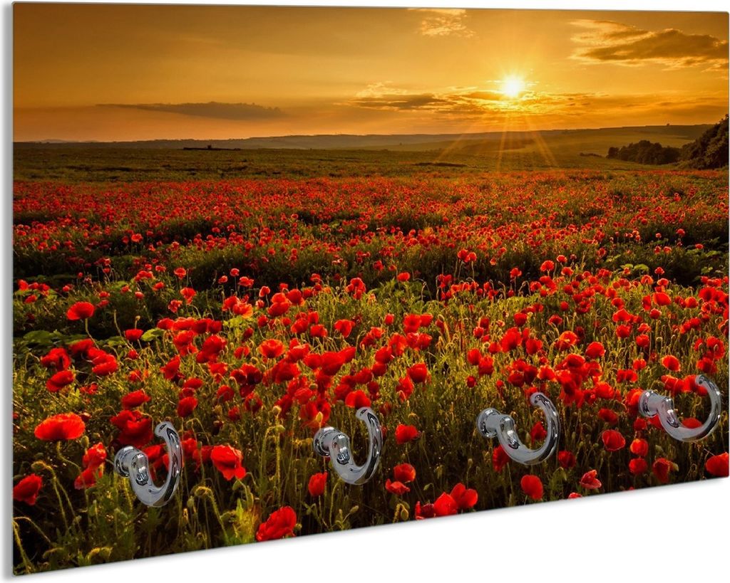 Wallario Handtuchhalter aus Glas, Motiv: Mohnblumenwiese bei Sonnenuntergang am Abend, 30 x 20 cm mit 4 Haken