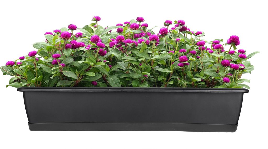 BigDean Blumenkasten mit Untersetzer 80 cm lang anthrazit - aus PP-Kunststoff - Balkon Pflanzkasten schmal Balkonkasten