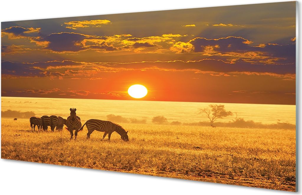 Glasbilder 120x60 Wandkunst Zebra Westen Wolken