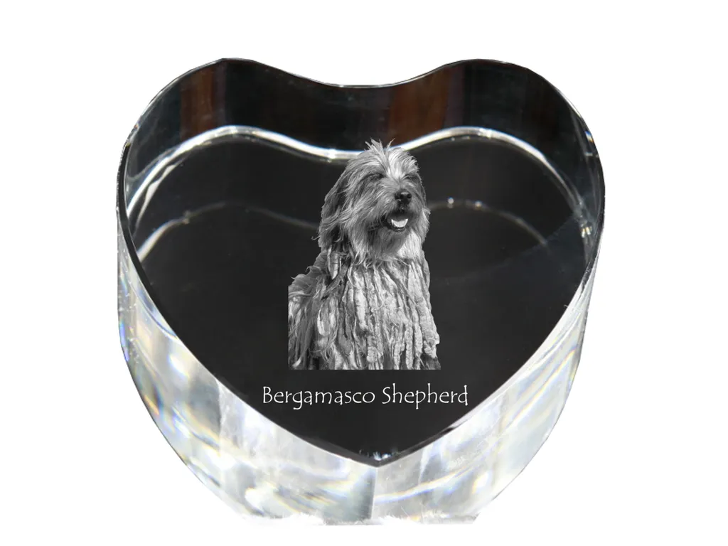Cadre Photo Chien Berger de Bergame en Cristal Gravé - Cadeau Original