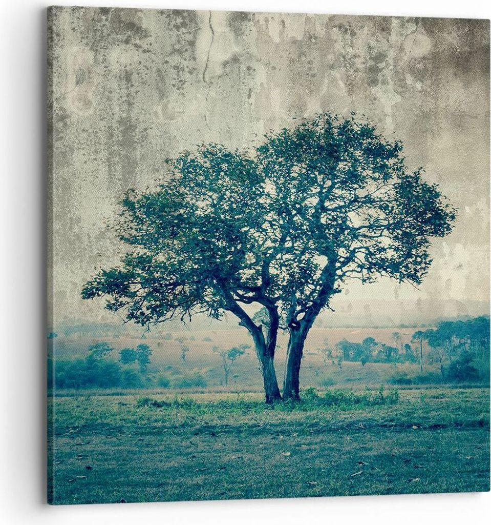 Bild auf Leinwand - Leinwandbild - Baum Natur Feld - 70x70cm - Wand Bild - Wanddeko - Wandbilder - Leinwanddruck - Bilder - Kunstdruck - Wanddekora...