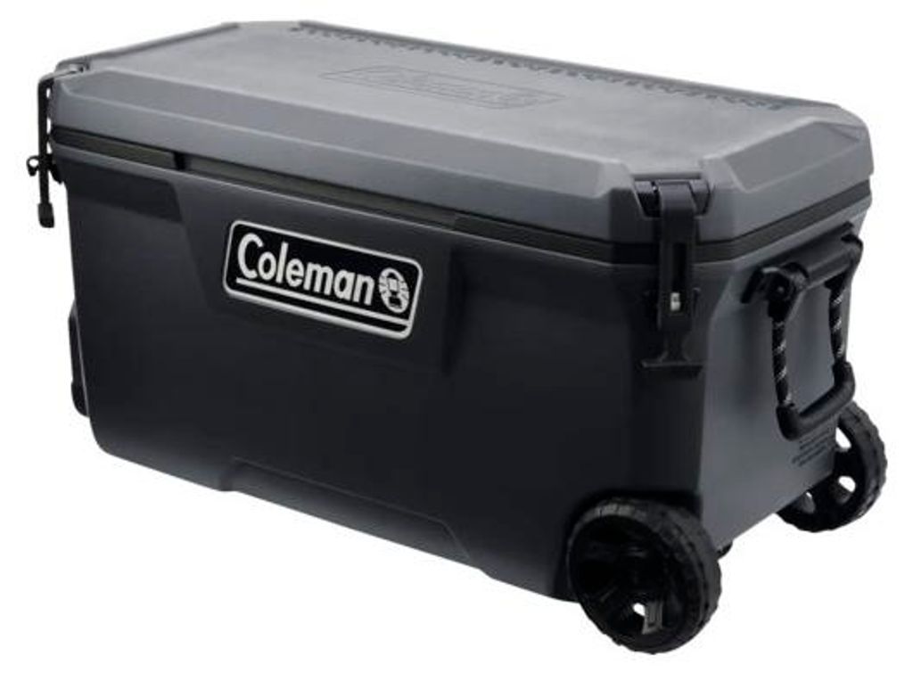 Coleman 2213849, Grau, Polyurethan, Polyurethan (PU), 2 Produktbild 