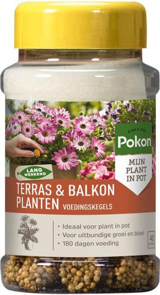 Terrassen- & Balkonpflanzen Fütterungskegel