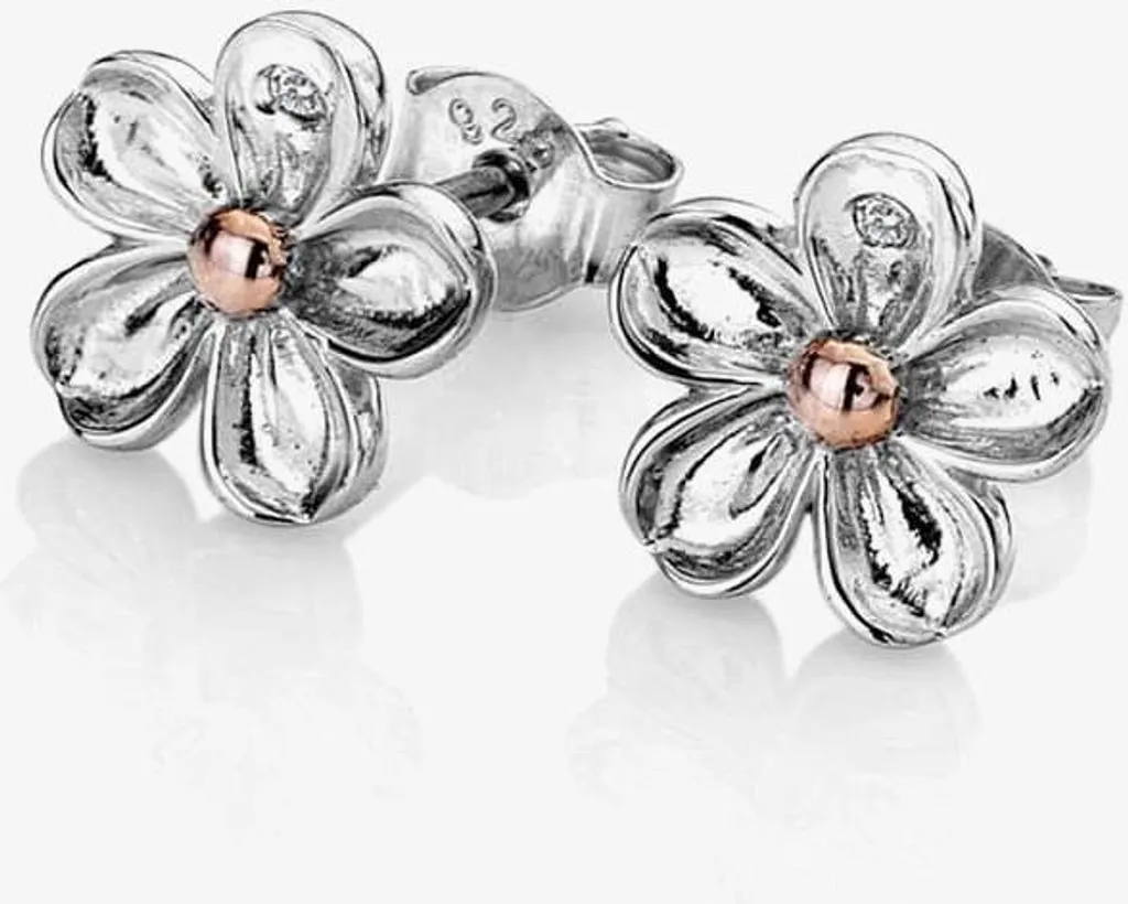 Boucles d'oreilles argent hypoallergénique et diamants Hot Diamonds - 2