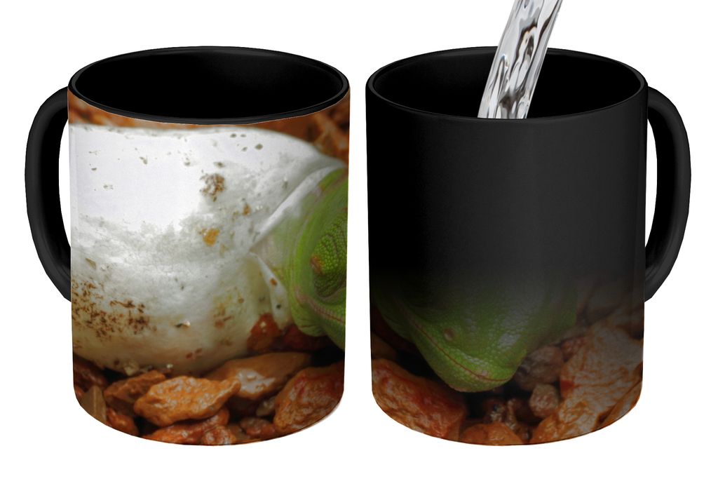 KitchenYeah Zauber Tasse Zaubertasse Magic Tier - Chamäleon - Ei 350 ml Farbwechsel Becher Geschenk Geschenkidee - Magic-Tasse - Fototasse - Ker...