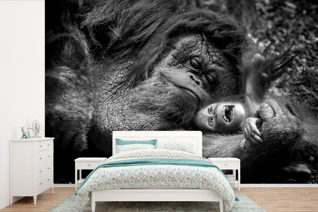 MuchoWow Fototapete für Wohnzimmer oder Schlafzimmer Wandtapete Vinyl Motivtapete Liebender Orang-Utan mit Jungtier in Schwarz und Weiß - 420x2...