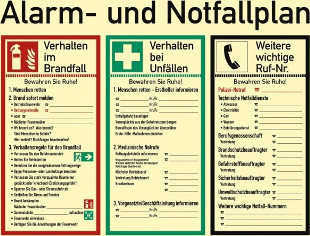 Dreifke Sicherheitsaushang Alarm- und Notfallplan | PVC 48x62 cm | langnachl...