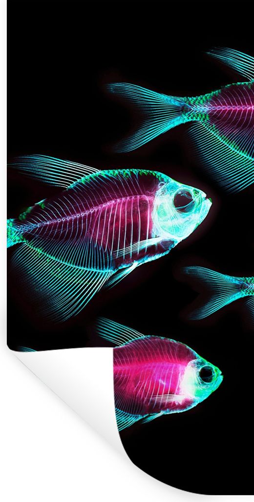 MuchoWow Wandtattoo Wandsticker Wandaufkleber Fisch - Lila - Blau 20x40 cm Selbstklebend und Repositionierbar - Selbstklebend - Fototapeten