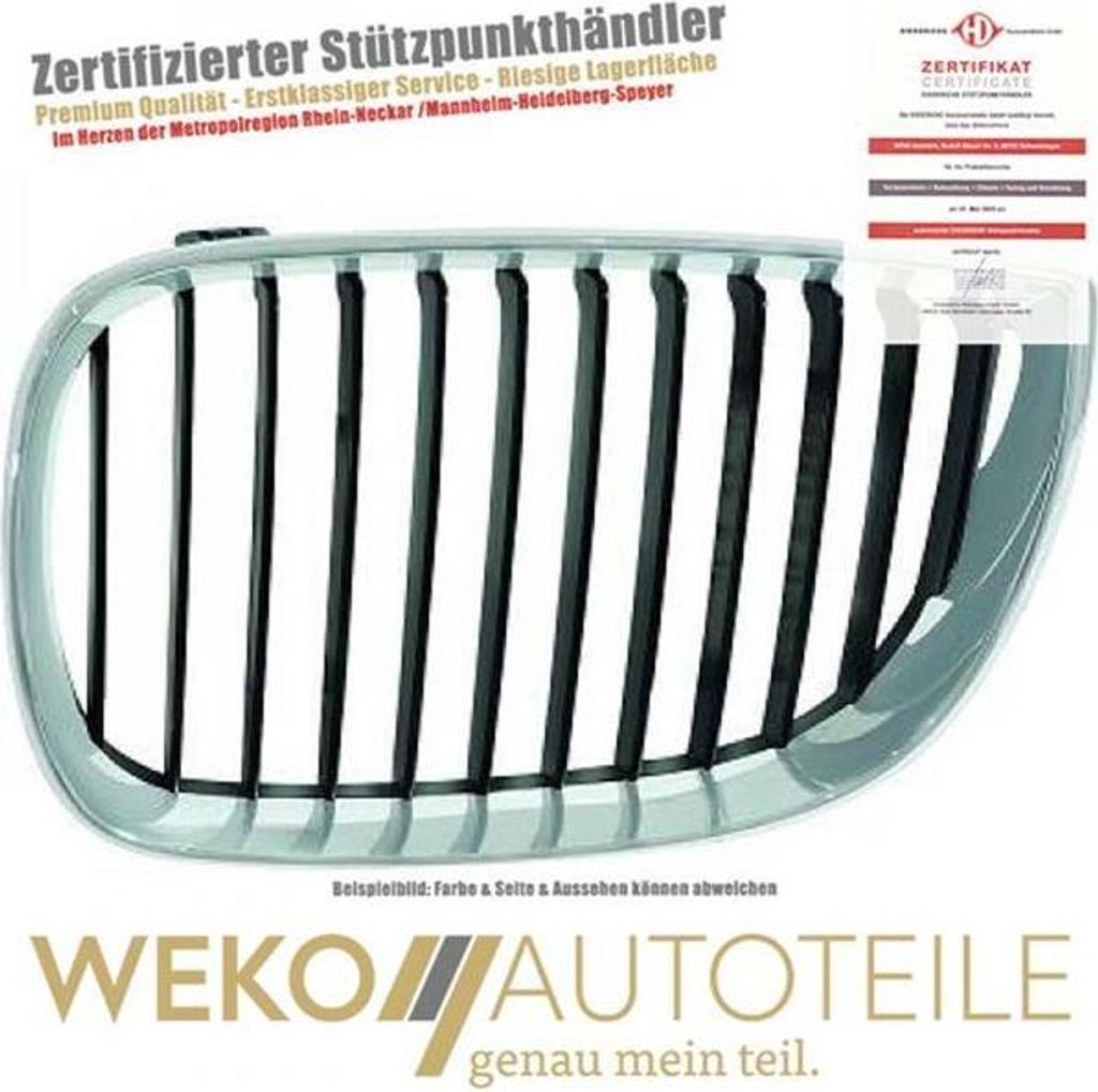 Kühlergitter links DIEDERICHS 1280041 für BMW