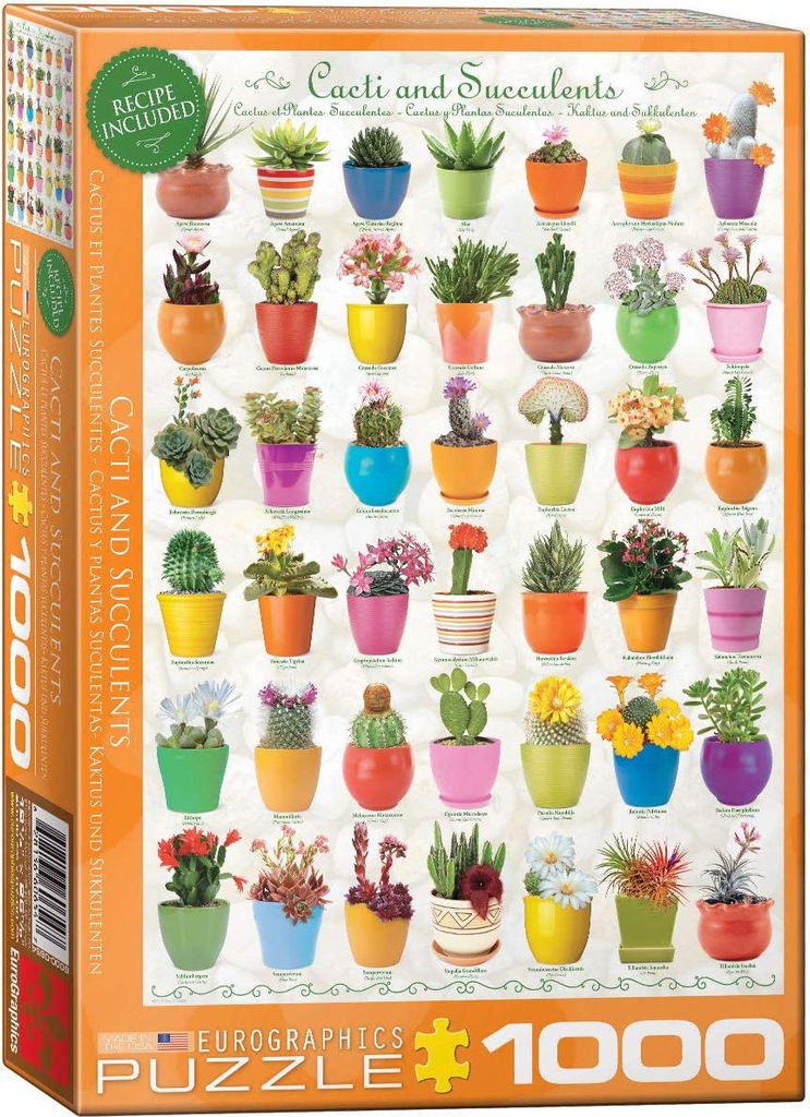 1000 Teile Puzzle - Puzzle - Wundervolle Natur Kakteen und Sukkulenten + Puzzle Alu Rahmen für 1000er