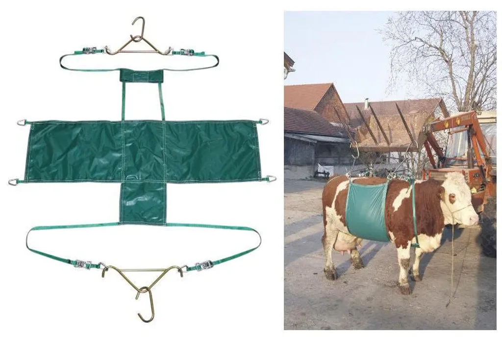 Dispositif de levage des vaches renforcé avec mors de protection