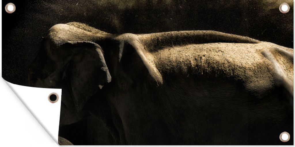 MuchoWow 80x40 cm Outdoor-Poster Gartendeko Sichtschutz Garten Poster für den Garten Elefant schüttelt Schlamm auf schwarzem Hintergrund ab