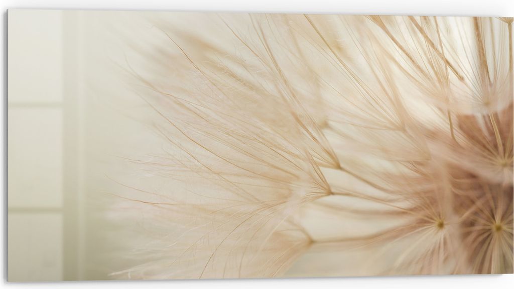 DEQORI Küchenrückwand Glas 80x40 cm 'Zarte Natur' Spritzschutz Bad Rückwand Küche