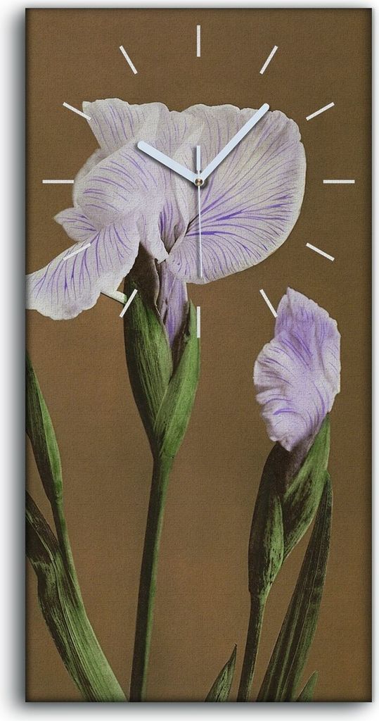 Leinwand Wanduhr Wandkunst Uhr Geräuschlos 30x60 Gemälde Blumen Pflanzen Kunst - weiße Hände