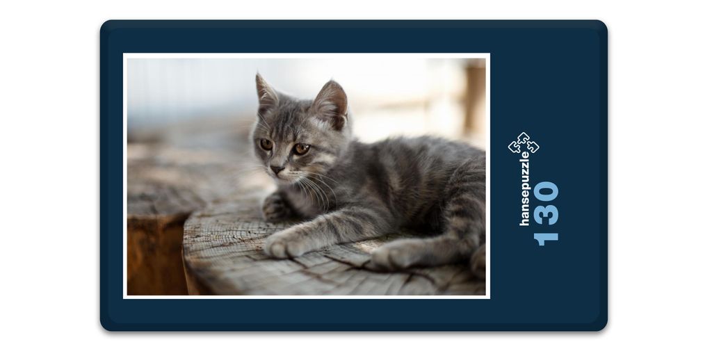 hansepuzzle 16777 - Katze Puzzle, 130 Teile, Tierwelt, 28,7 x 20,0cm mit hochwertiger Aufbewahrung, Kartonbox und wiederverschließbarem Beutel