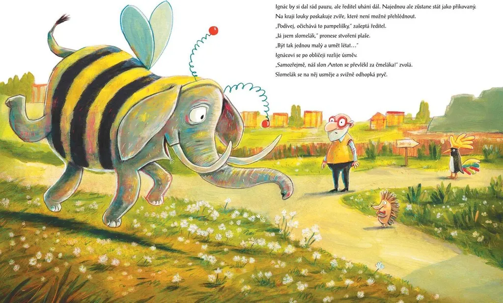 Karneval v ZOO Album Cartonné avec Illustrations Grand Format pour Enfant