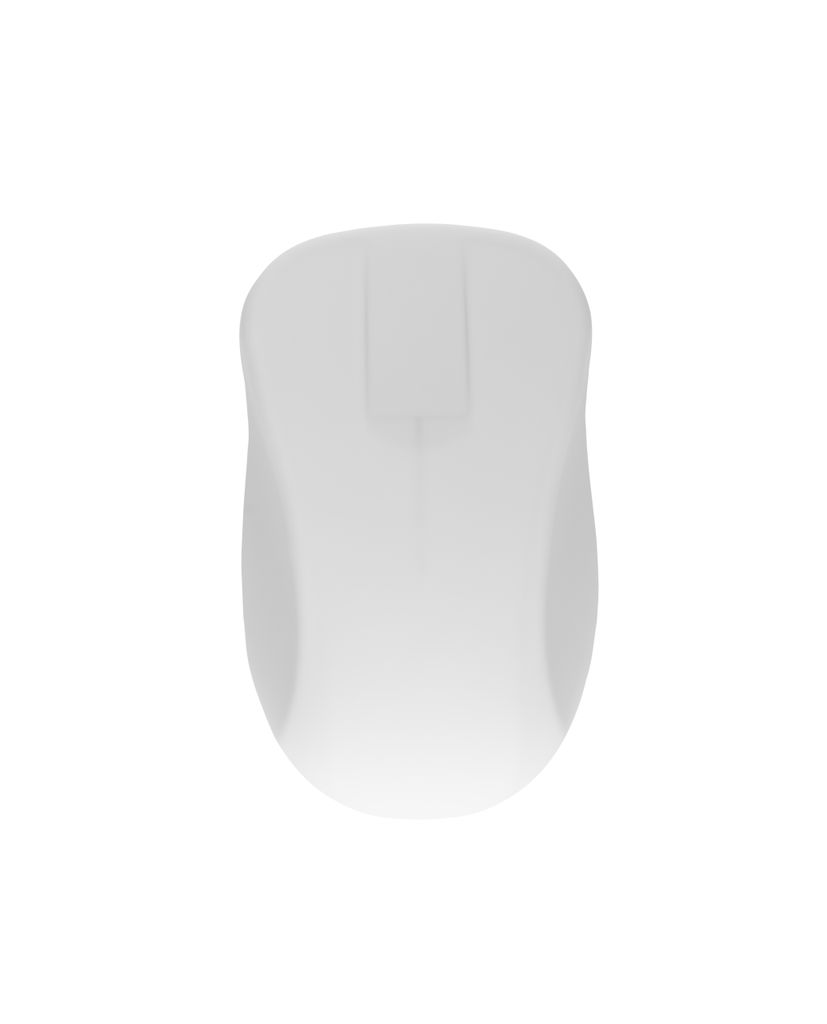 Active Key Medizinische Maus AK-PMH2 - Maus - rechts- und linkshändig - optisch - 2 Tasten - kabellos - 2.4 GHz - kabelloser Empfänger (USB)