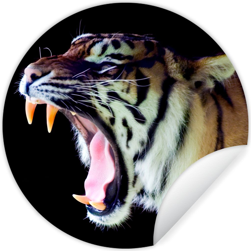 MuchoWow - Wand Kreis - Wand Bild - Foto Tapete - Selbstklebende - Wohnzimmerdekoration - Wand Dekoration - Kinderzimmer