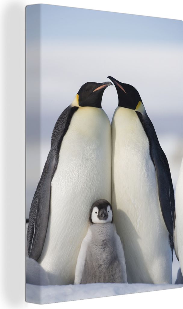 MuchoWow - Leinwandbilder - Pinguin - Familie - Schnee, Wandbild, Wanddeko Bilder Wohnzimmer, 60x90 cm