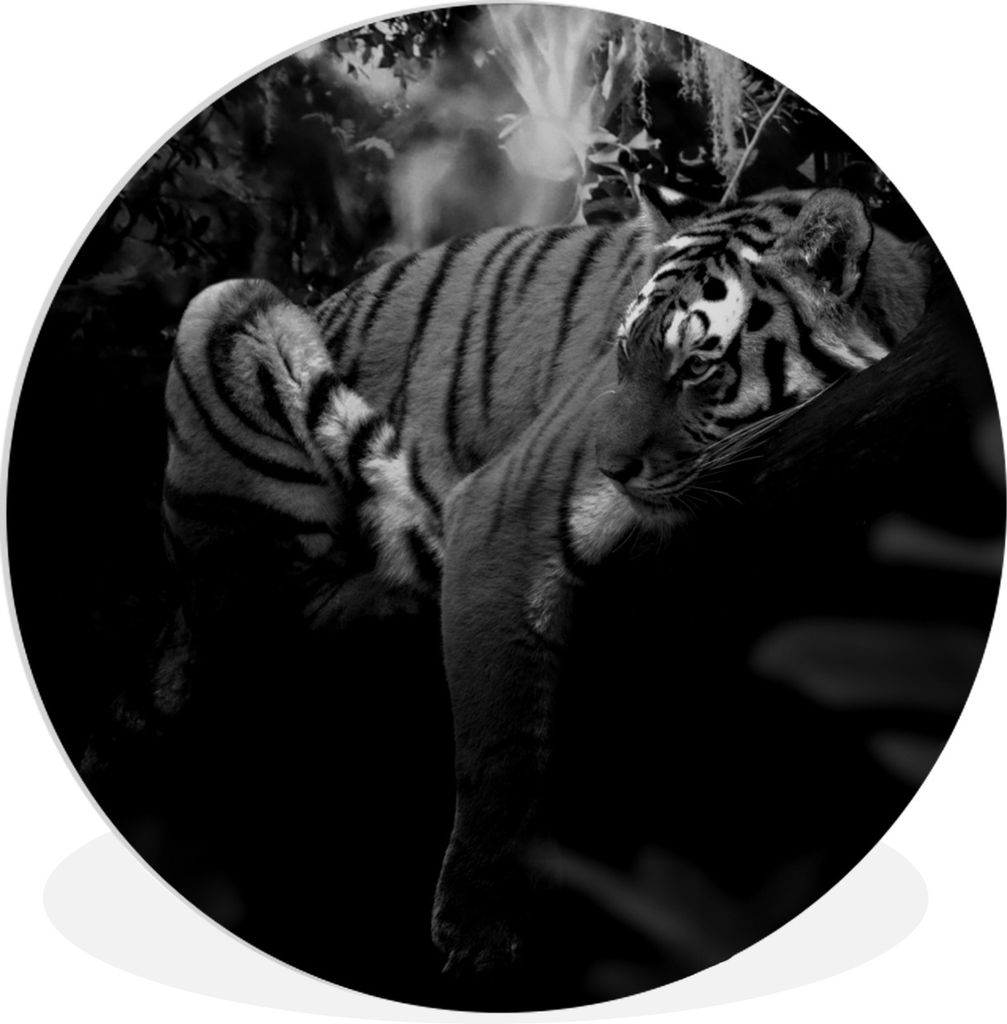 MuchoWow Rundes Wandbild - Runde Bilder Tiere - Tiger - Dschungel - Schwarz - Weiß Ø 60 cm Kreis Wanddekoration Kunststoff - Wandkreis - Wandsc...