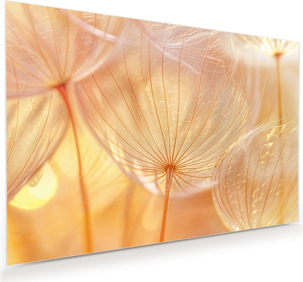 Glasbild 60x40cm in XXL für Wohnzimmer, Schlafzimmer Motiv Dandelion Makroaufnahme