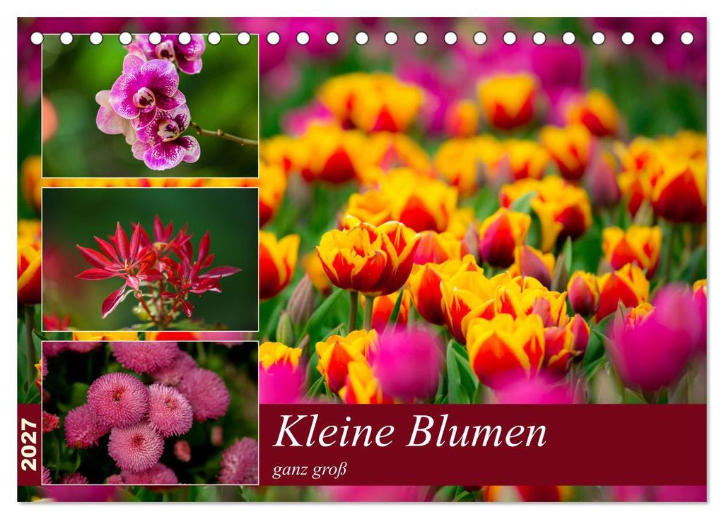 Kleine Blumen ganz groß (Tischkalender 2027 DIN A5 quer), CALVENDO Monatskalender