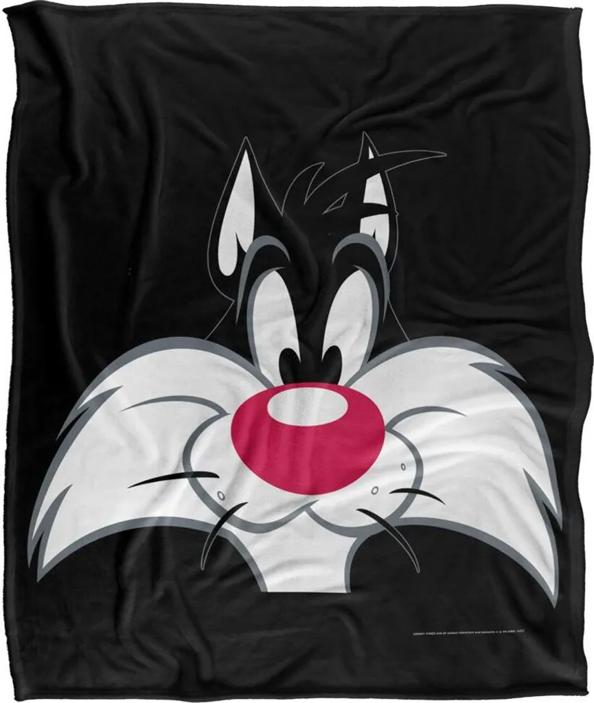 Couverture Looney Tunes TV18719 - Plaid Anti-Froid Doux pour Toute Famille