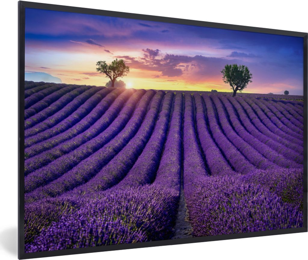 MuchoWow Gerahmtes Poster Lavendel - Hügel - Sonnenuntergang - Bpmen - Lila 30x20 cm - Poster mit Schwarzem Bilderrahmen Wandposter Rahmen Foto ...