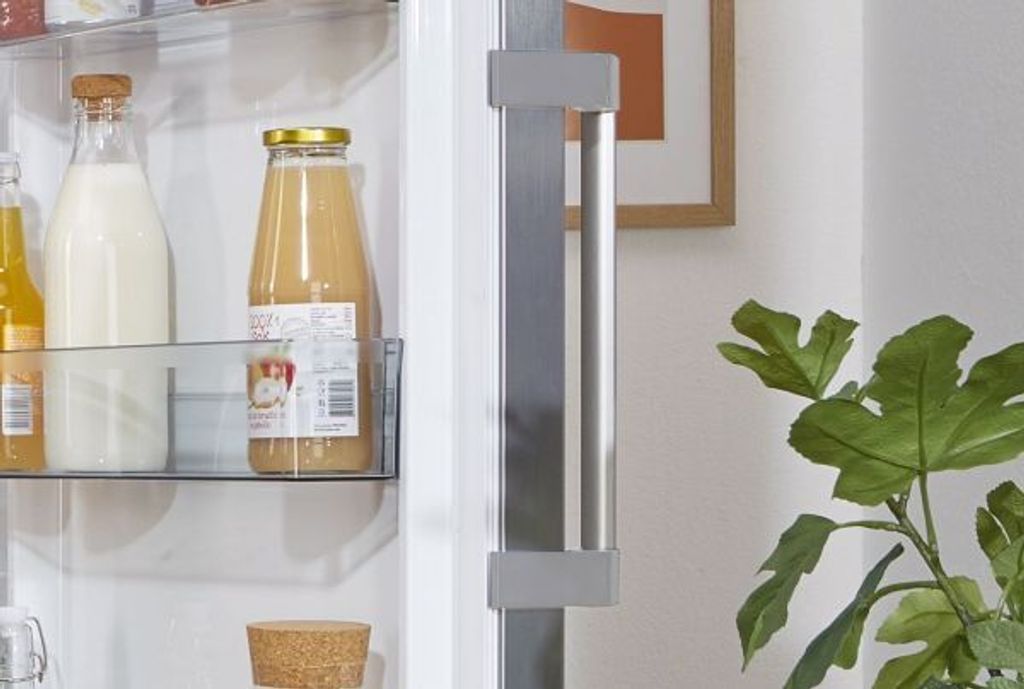 Gorenje R619EES5 Kühlschrank Standgerät, 398 Liter, Produktbild 21