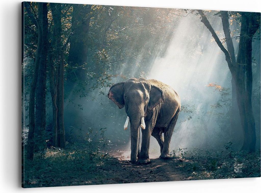 Bild auf Leinwand - Leinwandbild - elefant natur - 100x70cm - Wand Bild - Wanddeko - Wandbilder - Leinwanddruck - Bilder - Kunstdruck - Wanddekorat...