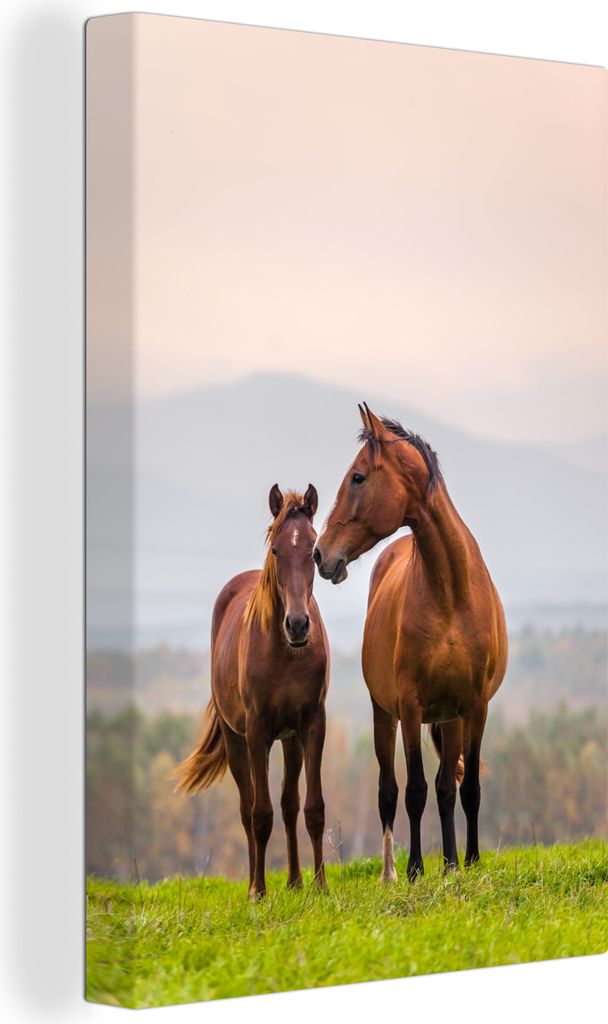 OneMillionCanvasses - Leinwandbilder - 90x140 cm, Pferd - Fohlen - Gras - Pastell, Wandbilder Kunstdruck Wanddekoration - Wandschmucke - Schlafzi...