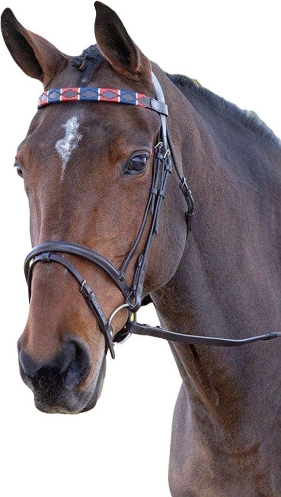 Blenheim - Pferde-Stirnriemen, Leder, Polo ER195 (XFull) (Rot/Marineblau)