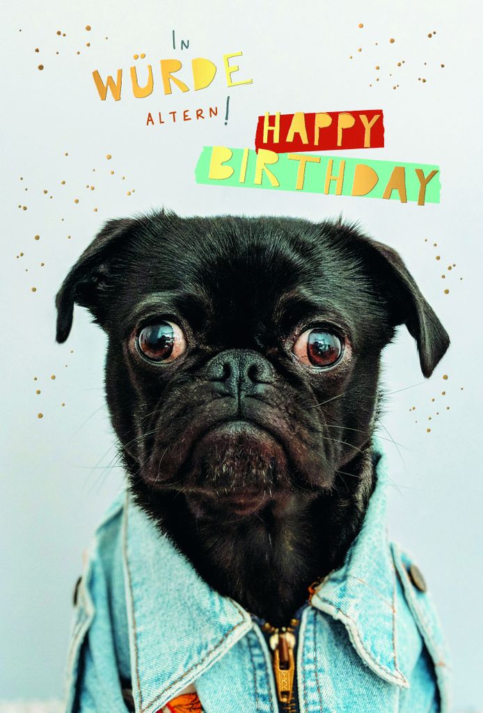 Geburtstag Karte mit Briefumschlag Hund in Jacke