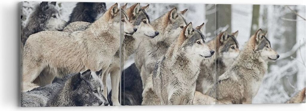 Bild auf Leinwand - Leinwandbild - 3 Teile - Rudel Wölfe Winter - 90x30cm - Wand Bild - Wanddeko - Wandbilder - Leinwanddruck - Bilder - Wanddekor...