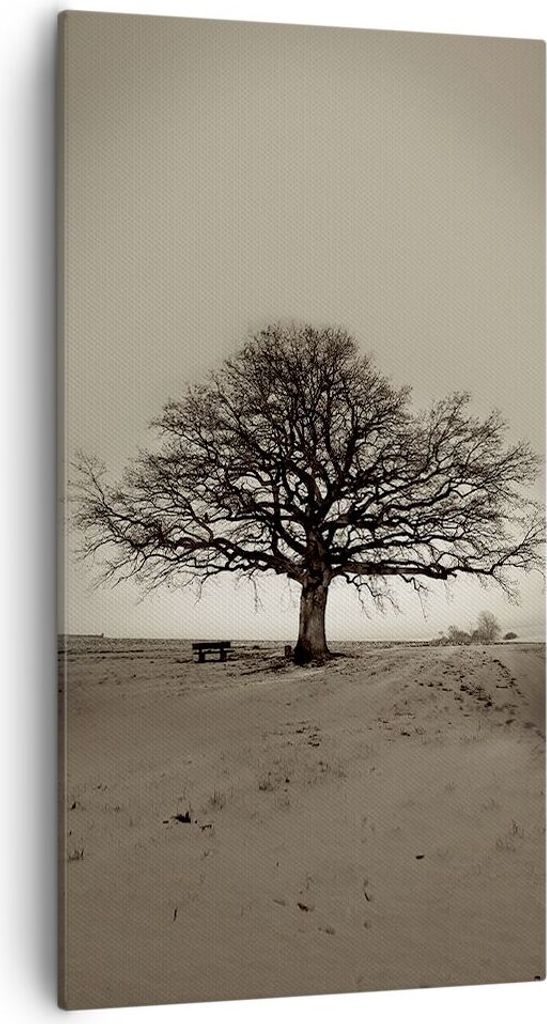 Bild auf Leinwand - Leinwandbild - Einteilig - Baum Schnee Sepia - 55x100cm - Wand Bild - Wanddeko - Wandbilder - Leinwanddruck - Bilder - Wanddeko...