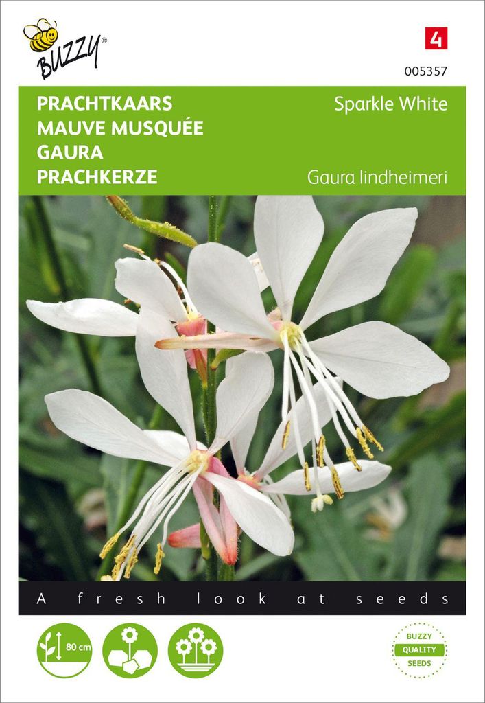 Samen - PRACHTKERZE„SPARKLE WHITE“.