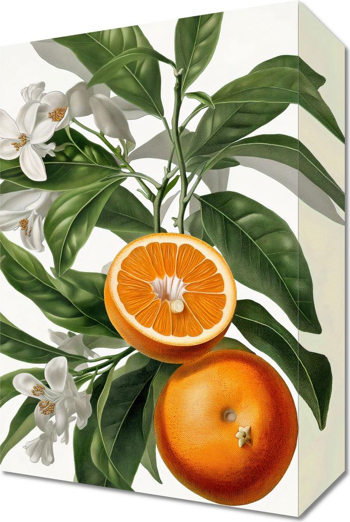 Bild 20x30cm Reife Orange
