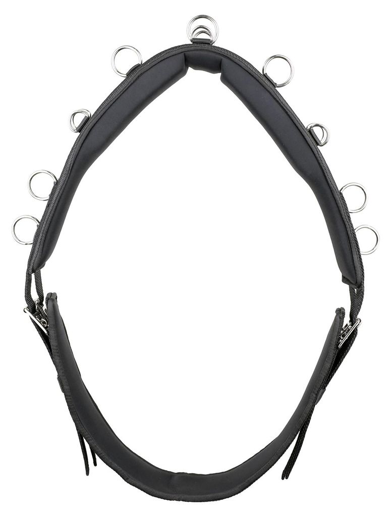 Kieffer Longiergurt ESSENTIALS CIRCLE, Farbe:schwarz, Produktbild 