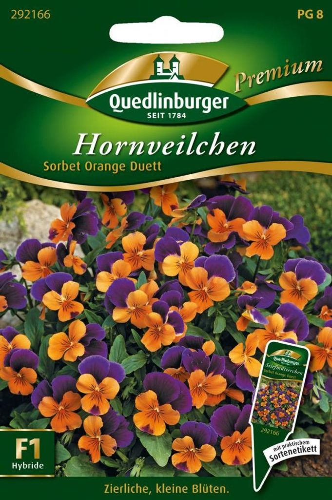 Hortensia sorbet, oranje duo, F1 Productafbeelding 